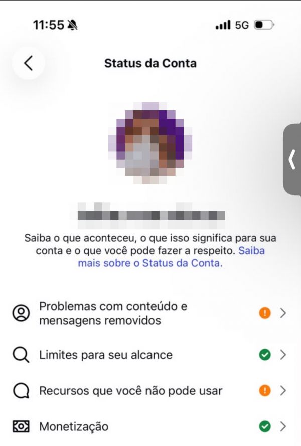 Tela Status da Conta do Instagram com as seções de conteúdo removido, alcance, recursos e monetização.